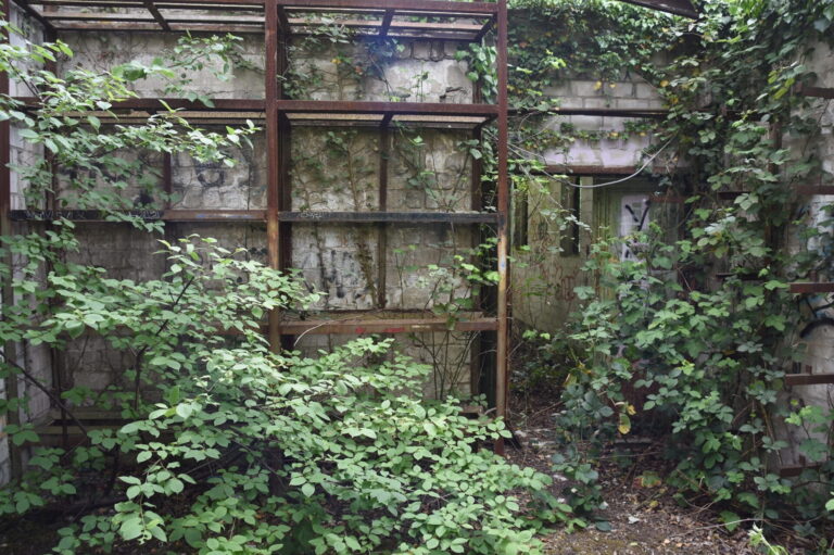 Lost Place Kalksandsteinwerk